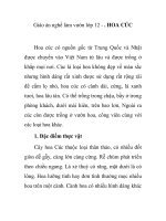 Giáo án nghề làm vườn lớp 12 - . HOA CÚC pps