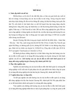 tóm tắt luấn án tiến sĩ ảnh hưởng của các dự án đầu tư đến tình hình quản lý sử dụng đất nông nghiệp huyện chương mỹ, thành phố hà nội.