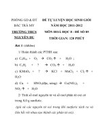 ĐỀ TỰ LUYỆN HỌC SINH GIỎI MÔN HÓA HỌC LỚP 8 MÃ ĐỀ 05 PHÒNG GD & ĐT BẮC TRÀ MY TRƯỜNG THCS NGUYỄN DU potx