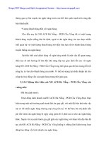 Giải pháp tăng cường huy động vốn tiền gửi tiết kiệm tại Ngân hàng Á Châu chi nhánh Cầu Vồng tại Đà Nẵng - 7 ppt