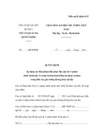 MẪU QUYẾT ĐỊNH Áp dụng các biện pháp khắc phục hậu quả do vi phạm hành chính gây ra trong trường hợp không áp dụng xử phạt trong lĩnh vực giao thông đường thủy nội địa pptx