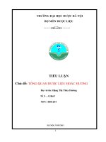 Tổng quan dược liệu hoắc hương