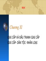 Chương XI GIAI CẤP VÀ ĐẤU TRANH GIAI CẤP GIAI CẤP­ DÂN TỘC­ NHÂN LOẠI pot