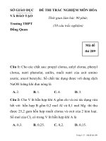 ĐỀ THI TRẮC NGHIỆM MÔN HÓA HỌC MÃ ĐỀ 209 SỞ GIÁO DỤC VÀ ĐÀO TẠO Trường THPT Đồng Quan pps