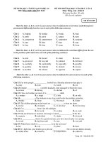 ĐỀ THI THỬ ĐẠI HỌC NĂM 2011 LẦN 1 Môn: Tiếng Anh - Mã đề thi 485 pps