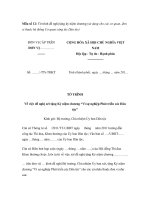 Mẫu tờ trình đề nghị tặng kỷ niệm chương (sử dụng cho các cơ quan, đơn vị thuộc hệ thống Cơ quan công tác Dân tộc) pdf