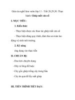 Giáo án nghề làm vườn lớp 11 - Tiết 28,29,30. Thực hành: Ghép mắt cửa sổ docx