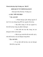 Giáo án hóa học lớp 10 nâng cao - Bài 29 KHÁI QUÁT VỀ NHÓM HALOGEN doc