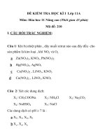 ĐỀ KIỂM TRA HỌC KÌ I MÔN HÓA HỌC LỚP 11 MÃ ĐỀ 210 TRƯỜNG THPT NGUYỄN VĂN TRỖI docx