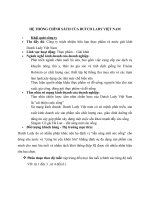 HỆ THỐNG CHÍNH SÁCH CỦA DUTCH LADY VIỆT NAM