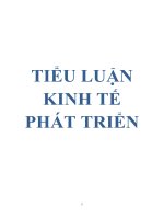 TIỂU LUẬN KINH TẾ PHÁT TRIỂN ppsx
