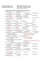 ĐÊ THI THỬ THPT 2010 - 2011 MÔN TIẾNG ANH (HỆ 7 NĂM) doc