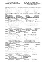 ĐỀ THI THỬTỐT NGHIỆP THPT MÔN TIẾNG ANH (Năm học 2010- 2011) - TRƯỜNG THPT LÊ HỒNG PHONG ppsx
