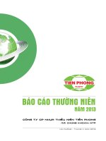 báo cáo thường niên công ty cp nhựa thiếu niên tiền phong 2013 mã chứng khoán NTP