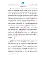 Xây dựng hệ thống quản lý chất lượng theo tiêu chuẩn ISO 9001 2008 và ISO 13485 2003 cho dây truyền sản xuất bơm kim tiêm bao gói túi PE của công ty nhựa y tế