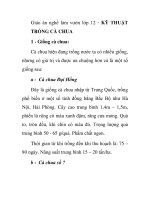 Giáo án nghề làm vườn lớp 12 - KỸ THUẬT TRỒNG CÀ CHUA pps