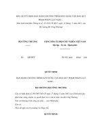 MẪU QUYẾT ĐỊNH BAN HÀNH CHƯƠNG TRÌNH XÂY DỰNG VĂN BẢN QUY PHẠM PHÁP LUẬT NĂM … docx