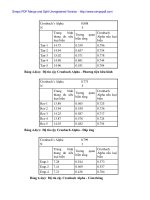 Dùng thang SERVPERF đánh giá chất lượng dịch vụ viền thông di động tại Đà Nẵng - 6 ppt