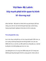 Việt Nam- Mỹ Latinh: Đẩy mạnh phát triển quan hệ kinh tế- thương mại ppt