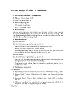 ĐỀ CƯƠNG MÔN HỌC MÔ HÌNH TÀI CHÍNH CÔNG ppsx