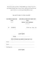 MẪU QUYẾT ĐỊNH CỦA TỔNG GIÁM ĐỐC doc