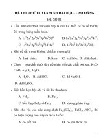 ĐỀ THI THỬ TUYỂN SINH ĐẠI HỌC, CAO ĐẲNG MÔN HÓA HỌC ĐỀ SỐ 01 potx