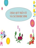 đặc trưng cơ bản của quần thể sinh vật