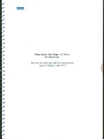 TổNG CôNG TY VIệT THắNG CTCP công ty con báo cáo tài chính hợp nhất cho năm tài chính kết thúc ngày 31 tháng 12 năm 2011