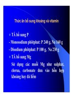 Thức ăn bổ sung cho vật nuôi : Thức ăn bổ sung dinh dưỡng part 5 docx