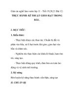 Giáo án nghề làm vườn lớp 11 - Tiết 19,20,21 Bài 12: THỰC HÀNH: KĨ THUẬT GIEO HẠT TRONG BẦU. pot