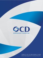 báo cáo giới thiệu năng lực công ty cổ phần tư vấn quản lý ocd ocd management consulting