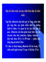 Thức ăn bổ sung cho vật nuôi : Thức ăn bổ sung mang tính chất chăn nuôi (phụ gia chăn nuôi) part 8 doc