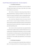 Giải pháp truyền thông cho thẻ Success của Ngân hàng No&PTNT Đà Nẵng - 3 pdf