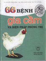 66 bệnh gia cầm và biện pháp phòng trị part 1 pot