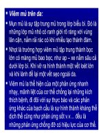 Bài giảng bệnh lý học thú y : Phân loại viêm part 4 pdf