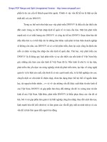 Doanh nghiệp nhỏ và vừa ở Đà Nẵng, thách thức và giải pháp hội nhập - 3 pptx