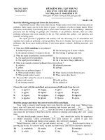 ĐỀ KIỂM TRA TẬP TRUNG ( HỌC KỲ II - NĂM HỌC 2010-2011 ) Môn:Tiếng Anh 12 ppsx