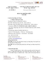 công ty cổ phần du lịch dịch vụ hội an báo cáo thường niên 2009