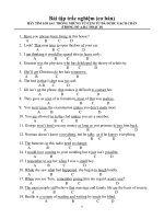 Bài tập trắc nghiệm (cơ bản) ppsx