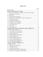 Tìm hiểu nhận thức về bệnh mắt thường gặp và cách phòng chống của sinh viên năm thứ nhất hệ chính quy trường đại học y dược huế