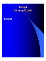 Thức ăn bổ sung cho vật nuôi : Chất phòng chống bệnh part 1 pot