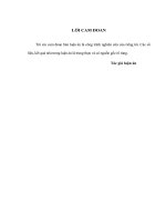 Hoàn thiện quản lý nhà nước đối với đầu tư xây dựng cơ bản từ vốn ngân sách trong ngành giao thông vận tải Việt Nam