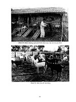 Giáo trình chăn nuôi dê part 8 ppsx