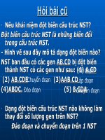 bài giảng đột biến số lượng nst