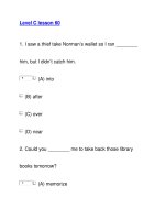 Level C lesson 60 pps