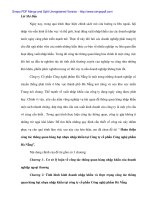 Thực hiện công tác thông quan hạt nhựa nhập khẩu tại Cty CP công nghệ phẩm Đà Nẵng - 1 pot