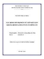 tóm tắt luận án tiến sĩ xác định chỉ thị phân tử liên kết với gen kháng bệnh xanh lùn ở cây bông cỏ