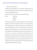 Công tác kế tóan tại Cty Phát triển Bưu điện trong thời kì cổ phần hóa - 2 docx