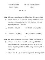 ĐỀ THI THỬ ĐẠI HỌC LẦN I Mã đề 117 TRƯỜNG THPT NGUYỄN DU pps