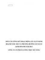 BÁO cáo TỔNG kết HOẠT ĐỘNG sản XUẤT KINH DOANH năm 2012 và PHƯƠNG HƯỚNG sản XUẤT KINH DOANH năm 2013 CÔNG TY cổ PHẦN LƯƠNG THỰC đà NẴNG